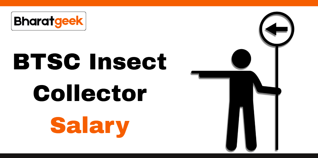 Insect Collector